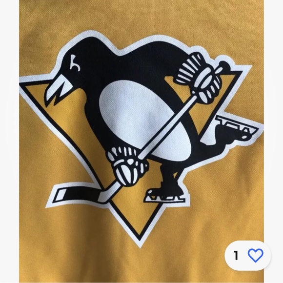Pittsburgh Penguins 🐧 Youth NHL Pull Over Hooded Sweatshirt Large (10-12) NEW - Picture 2 of 6